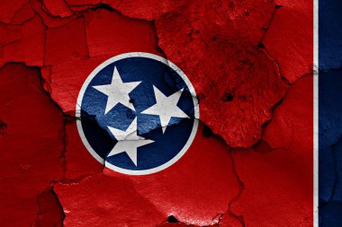 Çatlak duvarda Tennessee bayrağı resmi