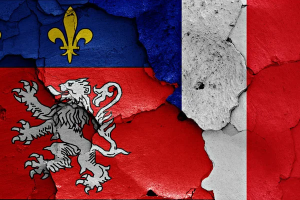 里昂和法国的国旗画在裂开的墙上 图库照片