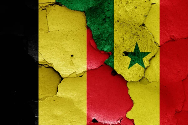 Bandiere Del Belgio Del Senegal — Foto Stock