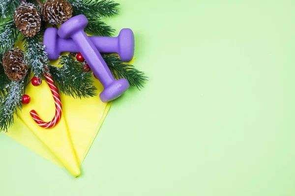 크리스마스 건강하고 활동적 양식은 개념을 따른다 보라색만 노란색 초록빛 사탕과 — 스톡 사진