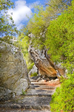 dağlar, kayalar arasındaki dar yol. Manastır lluc, mallorca