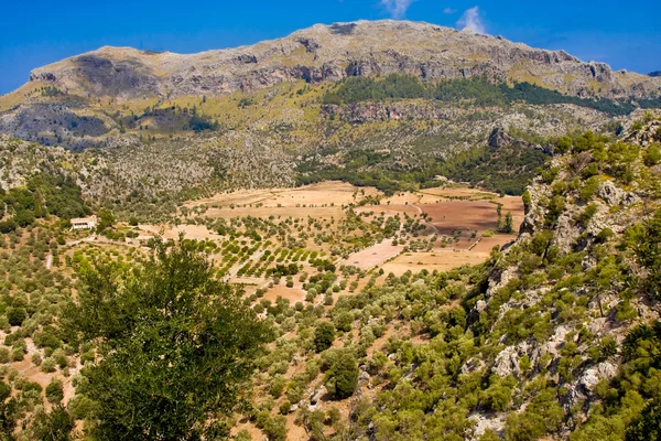 Serra de Tramuntana - Cordilheira das Montanhas em Maiorca, Ilhas Baleares, Espanha — Fotografia de Stock