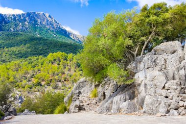 Serra de Tramuntana - dağlar aralığı Mallorca, Balear Adaları, İspanya. Bir taş üzerinde odaklanmak