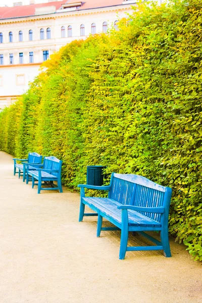 Bancos de madera azul en el parque en Wallenstein Garden, Praga, República Checa —  Fotos de Stock