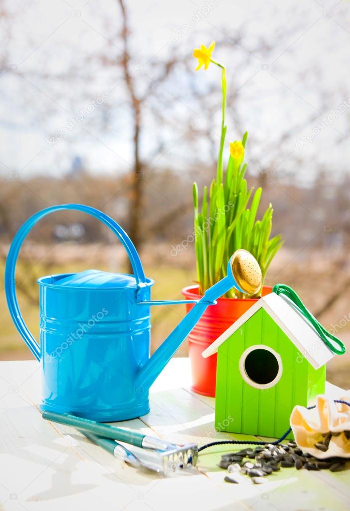 Bird house, water can and Narcissus in pots, shovel and seeds against garden in spring