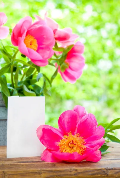 Розовый горошек и пустая открытка для письма на столе в саду — стоковое фото