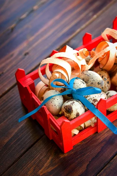 Decoraciones de Pascua. Huevos de codorniz con arco en caja —  Fotos de Stock
