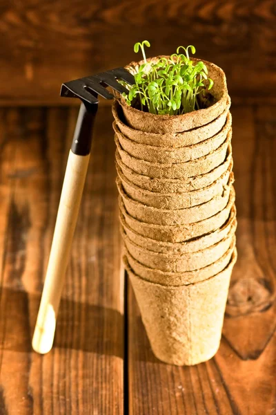 Pots à tourbe et outils de jardin sur fond de bois — Photo