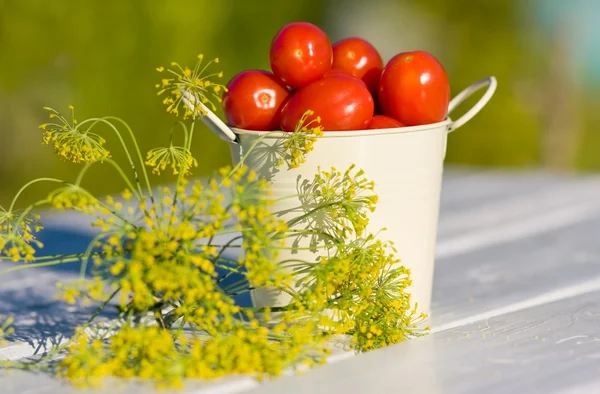 Pequeños tomates rojos y eneldo sobre mesa de madera en verano —  Fotos de Stock