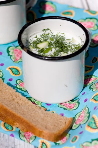 Okroshka. The traditional Russian summer soup and rye bread — Stock Image Okroshka. The traditional Russian summer soup and rye bread Stock Picture