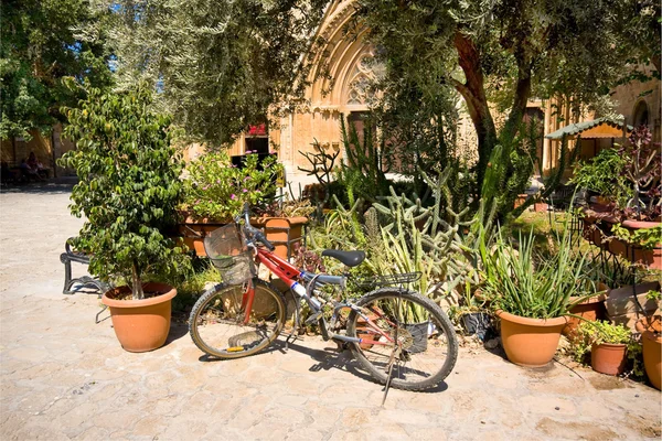 Kerékpár- és cserepes növények közelében Lala Mustafa pasa mecset, Famagusta, Ciprus északi — Stock Fotó