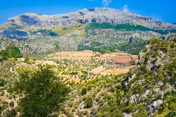 Sierra de Tramuntana vy från Lluc — Stockfoto