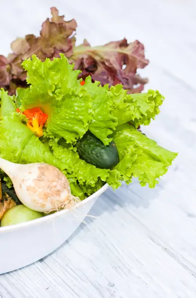 Vegetables and lettuce in bowl outdoore — Stock Photo, Image