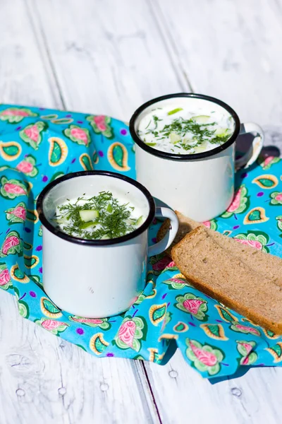 Okroshka. The traditional Russian summer soup and rye bread — Stock Image Okroshka. The traditional Russian summer soup and rye bread Stock Picture