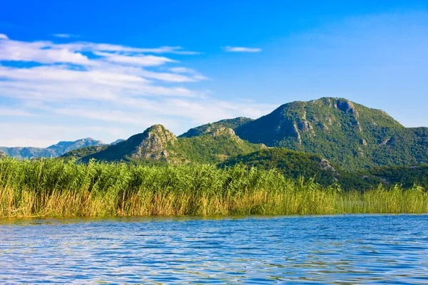 Skadar Lake National Park, Montenegro — Stockfoto