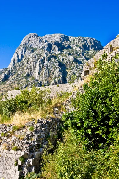 Czarnogóra, Kotor, stare miasto, starożytnej fortecy — Zdjęcie stockowe