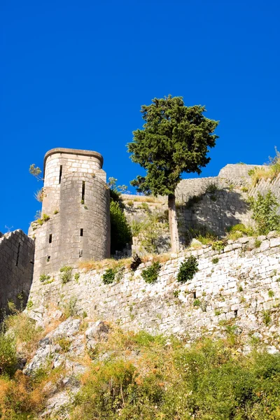 Руины крепости Святого Иоанна над Котором — стоковое фото