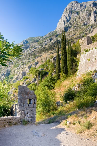 Ruinele cetății Sf. Ioan peste Kotor — Fotografie, imagine de stoc