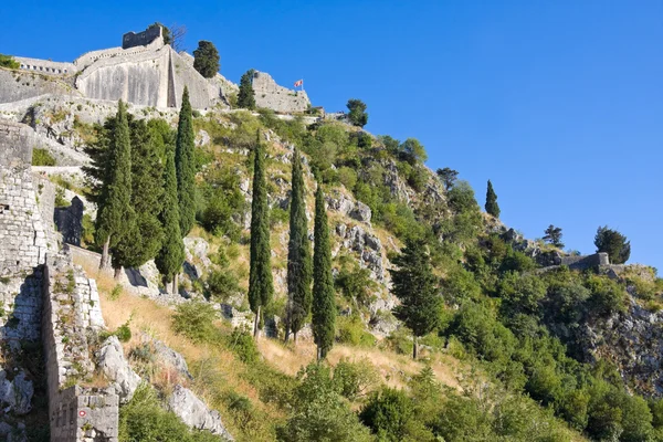 Ruiner av festningen St John over Kotor – stockfoto