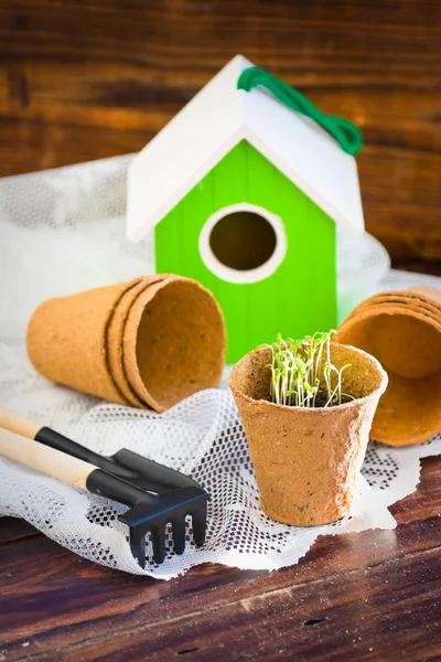 Peat pots, bird-house, seedlings and garden tools on wood background — Stock Photo, Image