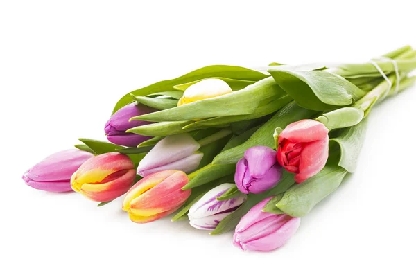 Bouquet of fresh tulips on white background — Stock Photo, Image