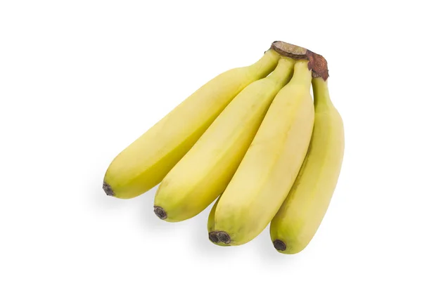 Маленькие бананы на белом фоне — стоковое фото