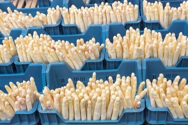 Fresh white asparagus on a market in Germany — Stock Photo, Image