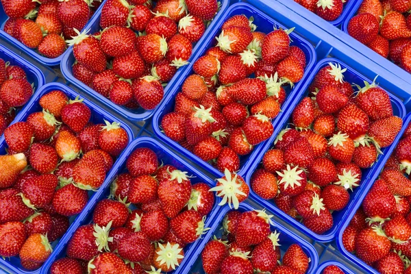 Rijpe aardbeien op een markt — Stockfoto