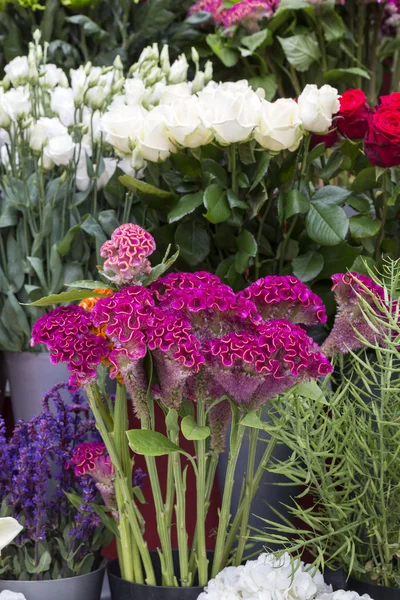 Fresh flowers in front of a flower shop — Stock Photo, Image