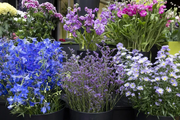 Fresh flowers in front of a flower shop — Stock Photo, Image