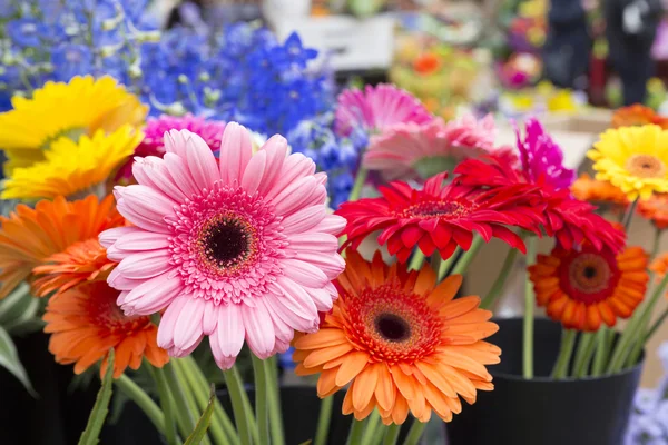 Fresh flowers in front of a flower shop — Stock Photo, Image