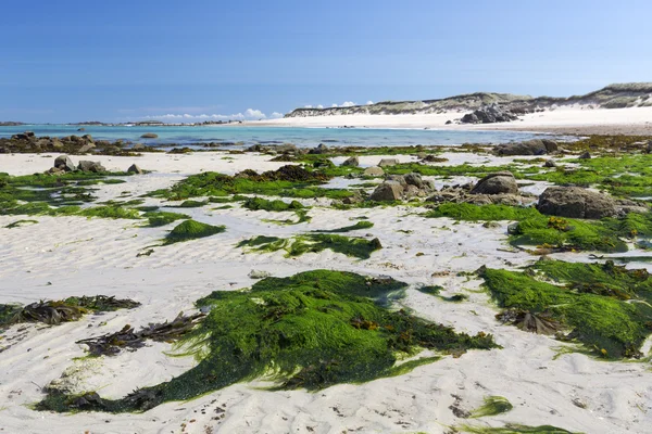 Beach adanın Herm, İngiltere — Stok fotoğraf