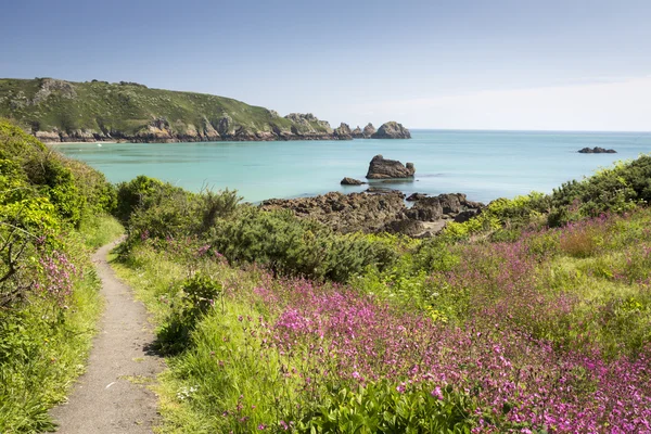 South coast of Guernsey island, Storbritannien, Europa — Stockfoto
