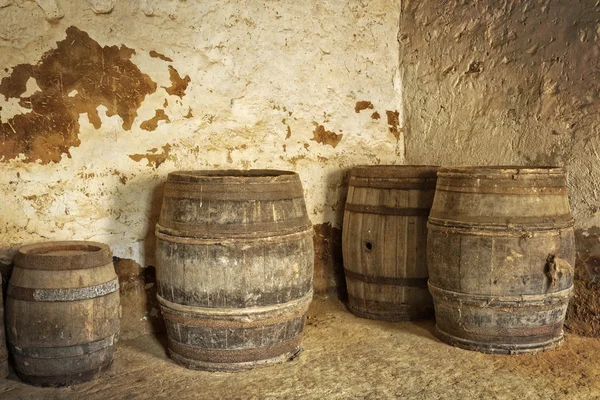 Eski şarap fıçıları mahzende — Stok fotoğraf