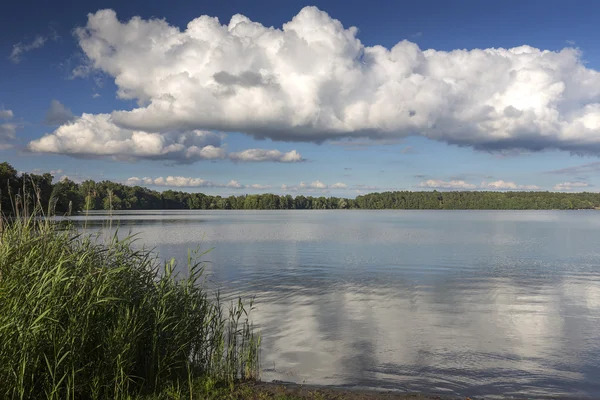 Lake Wurlsee in the eastern part of Germany, Europe — Stock Photo, Image