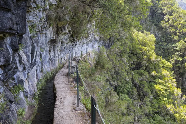 "Levada "Πεζοπορία στη Μαδέρα, Πορτογαλία — Φωτογραφία Αρχείου