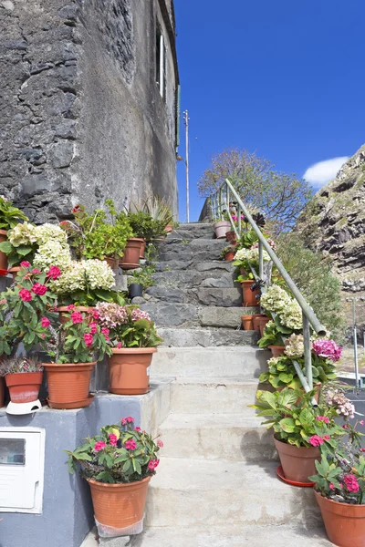 Bloemen in potten op een trap op Madeira — Stockfoto
