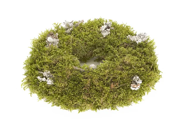 Пригоди вінок з моху, ізольований — стокове фото