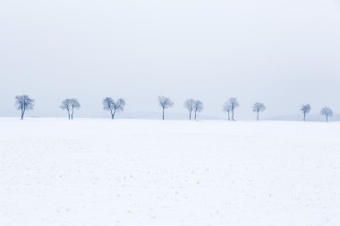 sokak ağaçları kar manzara kaplı