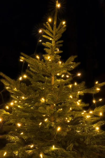 प्रकाशित ख्रिसमस ट्री, बाहेर शॉट — स्टॉक फोटो, इमेज