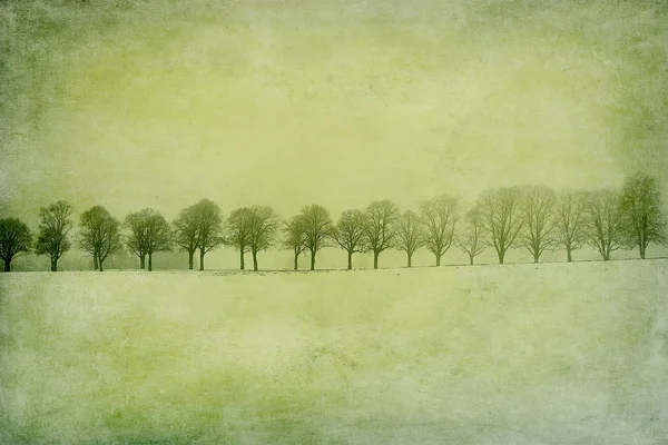 Beco sem folhas de árvores em um campo de neve, texturizado — Fotografia de Stock