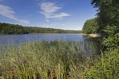 Doğu Almanya, Uckermark gölde banyo