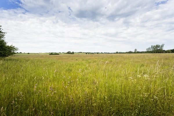 Αγροτικό τοπίο, στην Ανατολική Γερμανία, Uckermark — Φωτογραφία Αρχείου