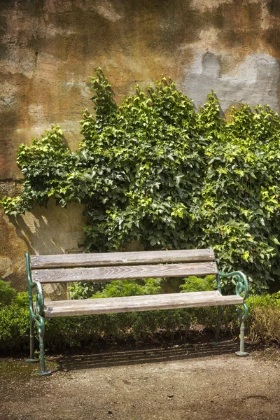Wooden bench in front of a weathered wall with ivy — Stock Photo, Image