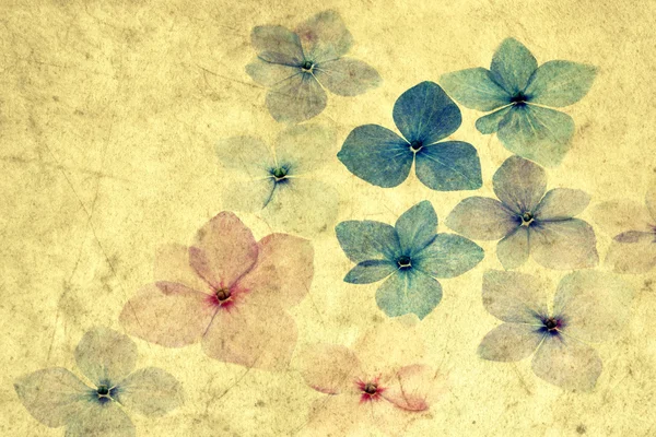 Hortensienblätter mit Textur-Overlay — Stockfoto