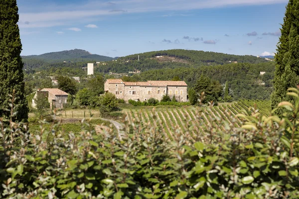 Weinberge im Ardeche-Distrikt, Frankreich — Stockfoto