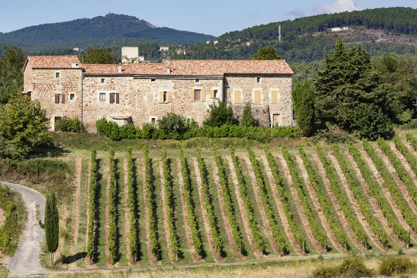 Winnice w okręgu Ardeche, Francja — Zdjęcie stockowe