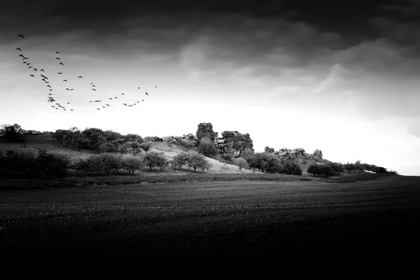 The devil's wall near the town of Weddersleben, Germany — Stock Photo, Image