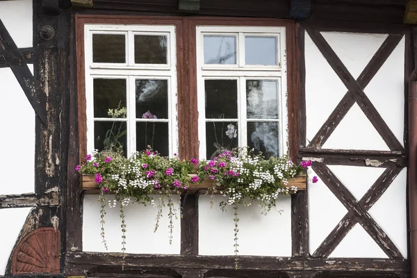花上一个半木结构的房子，德国的窗口 — 图库照片
