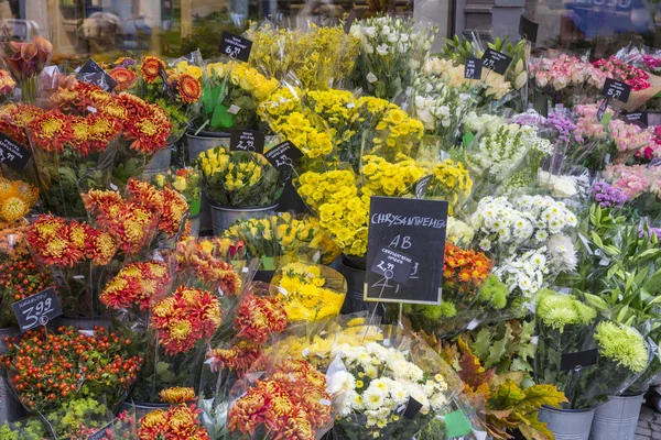 Colorful flowers on display — Stock Photo, Image